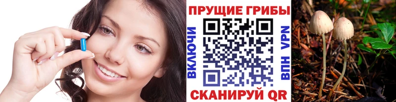 Купить где  Саранск  Галлюциногенные грибы GOLDEN TEACHER 